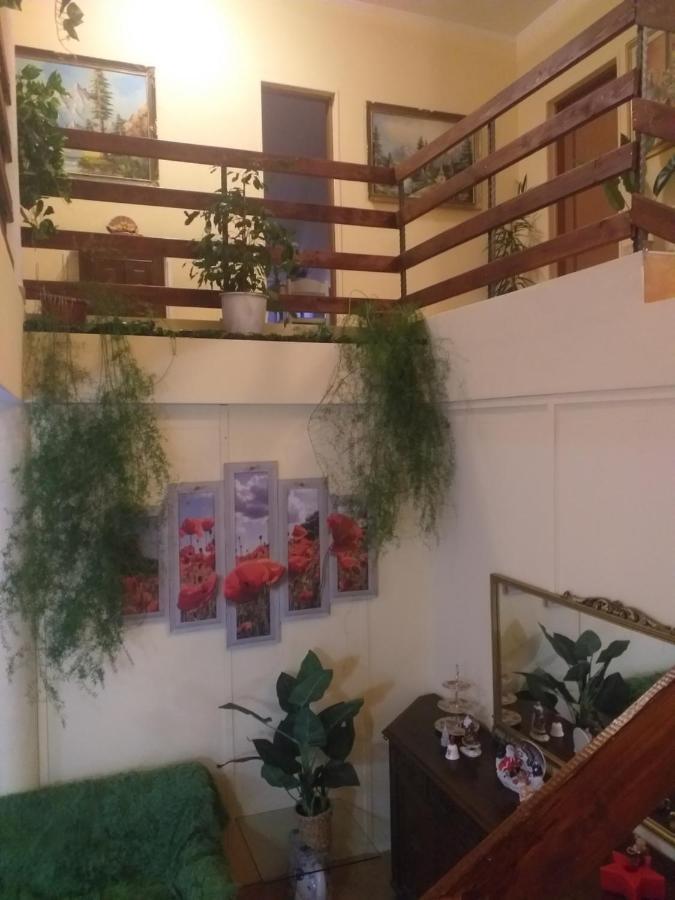Casa Maria Bed & Breakfast Негрещи-Оаш Екстериор снимка